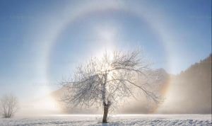 How do we manifest in The top ways to do it How do we manifest in The top ways to do it